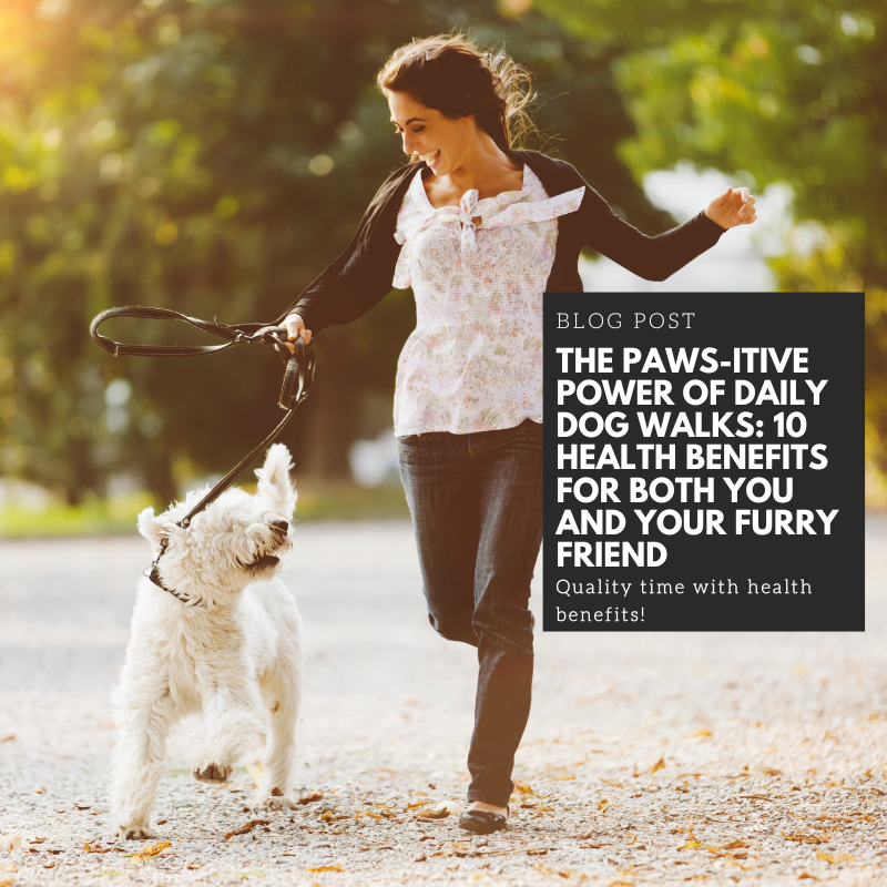 The Paws-itive Power of Daily Dog Walks: 10 Health Benefits for Both You and Your Furry Friend