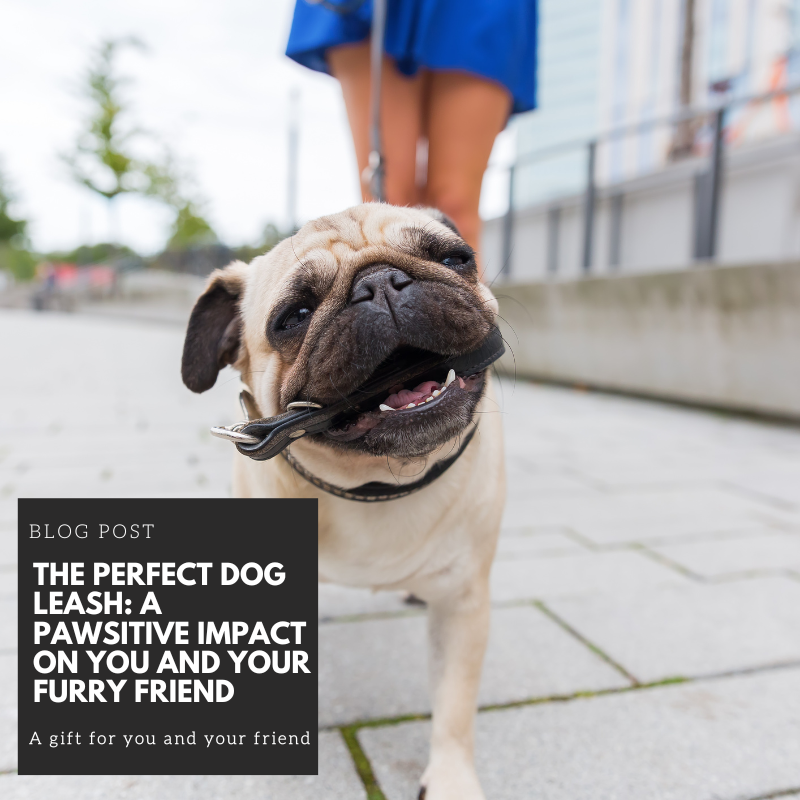 The Perfect Dog Leash: A Pawsitive Impact on You and Your Furry Friend