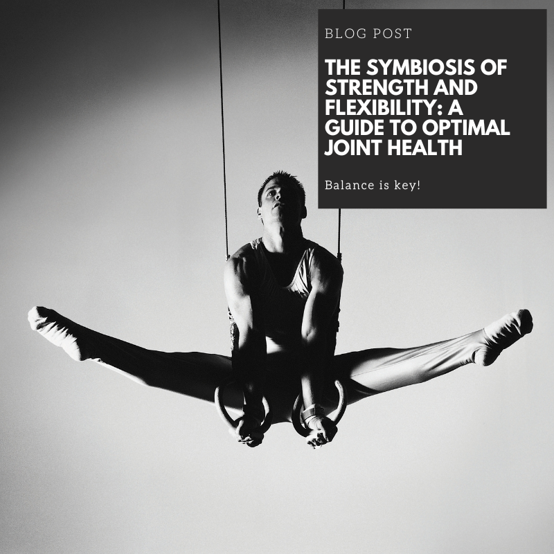 The Symbiosis of Strength and Flexibility: A Guide to Optimal Joint Health
