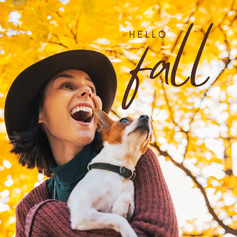 15 Fun Fall Activities To Do With Your Dog