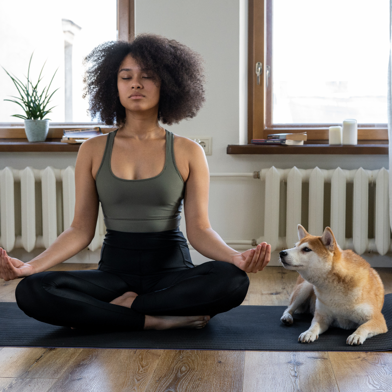 10 Scientific Reasons to Start Yoga Now dtchealthstore