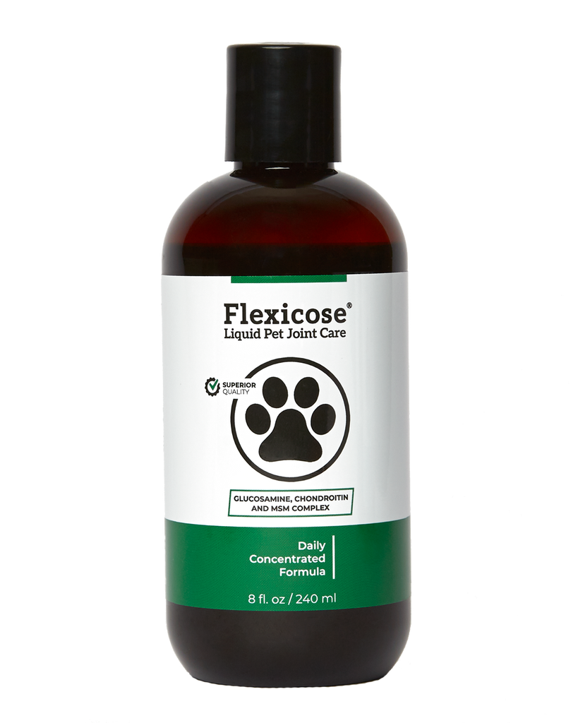 glucosamine and chondroitin for dogs
